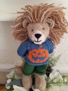 Mr Lion!