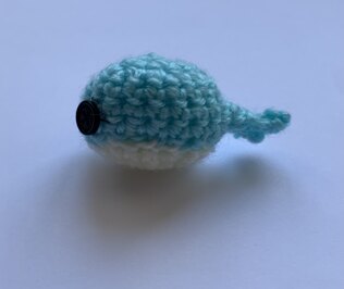whale