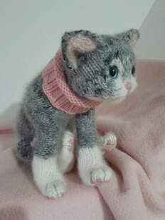 New Little Kitten