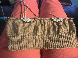 Teddy Jumper