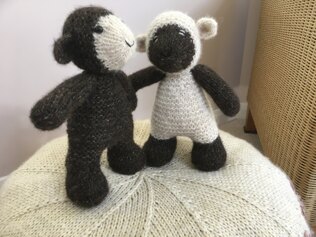 Twin Lambs