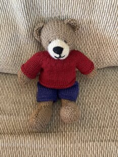 Little Teddy Bear