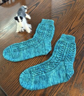 Moss Eccles Socks for me