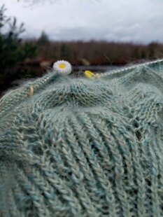 Blue Lace Delight Sweater