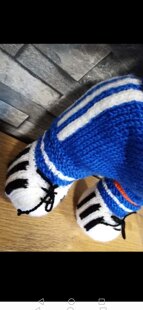 Football tiger