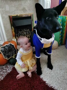 Beauty & The beast Halloween
