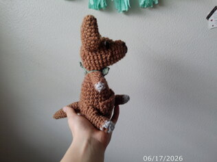 Ta-Da the Kangaroo