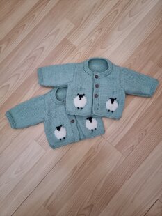 Twin Baby Cardigans
