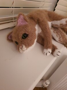 George the Cat