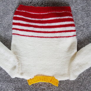 Nala's 4th birthday jumper