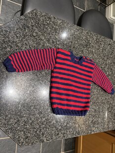 Jumper for Henry