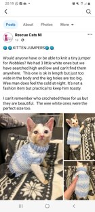 2 Kitten coats for cat charity