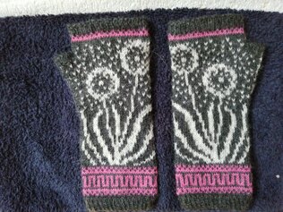 Wishmaker mittens