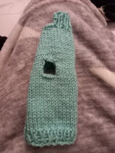 2 Kitten coats for cat charity