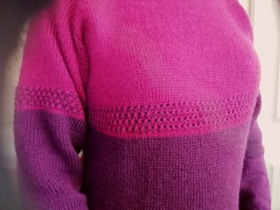 Roter Raglan
