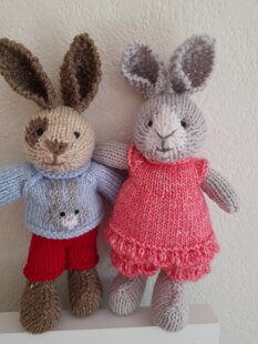 The Bunny Family