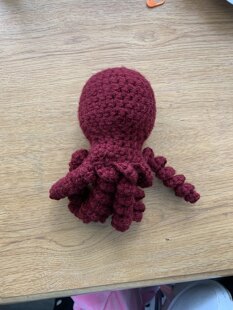 octopus