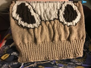 Teddy Jumper