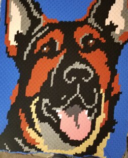 K9 Ricco