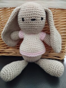 Mollie Bunny