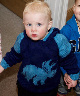 Dinosaur jumper
