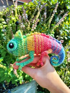 T.C.K. Chameleon