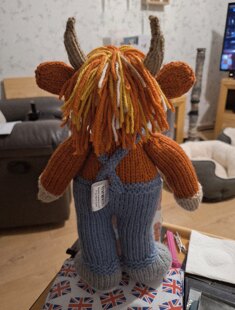 Torran the Highland Cow
