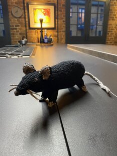 Rats!