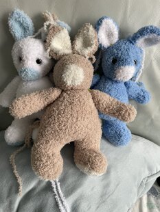 Bunnies for Babies