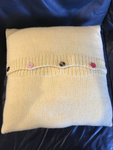 Bodhi and Banjo Cushion