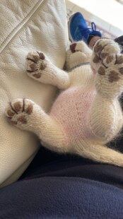 New Born Puppy