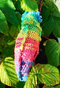 T.C.K. Chameleon