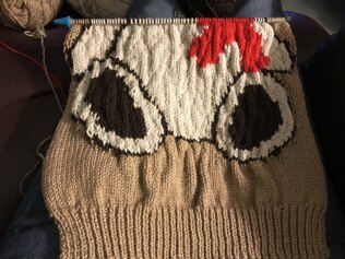 Teddy Jumper