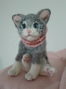 New Little Kitten