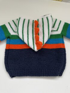 Baby Dino Jacket
