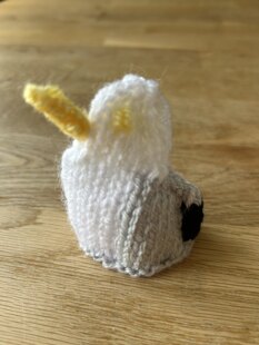 5 Little cosies