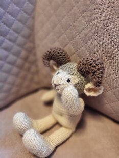 Little Boy Ram
