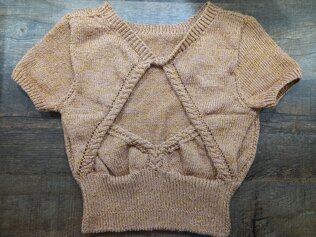 Crop Top Number 2