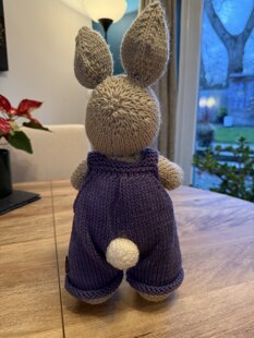 Tash’s Bunny