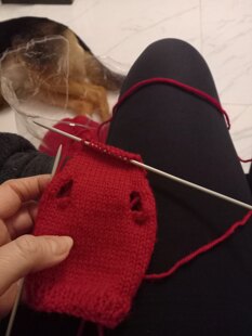 2 Kitten coats for cat charity