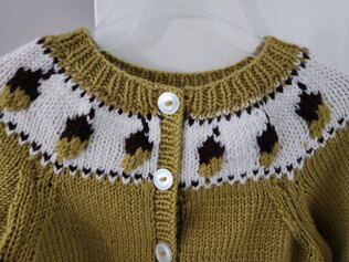 Cardigan with Acorn Yoke