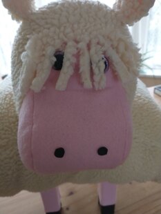 Chardonnay the Sheep