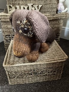 Stanley Dachshund
