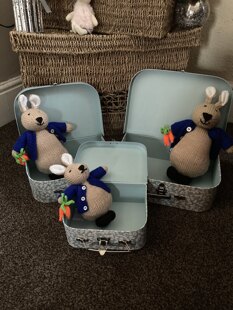 Peter Bunny Rabbit Toy
