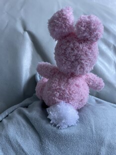 Bunny for Baby in America - delivered safe and sound 💖