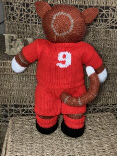 Cat in a football strip
