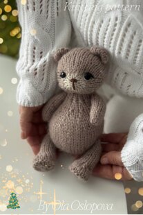 Teddy bear traveler