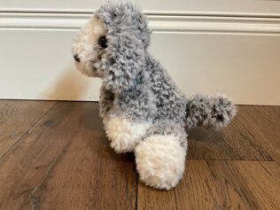 Greg the dog