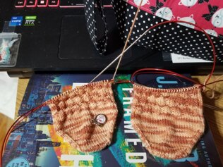 Crookshanks Socks