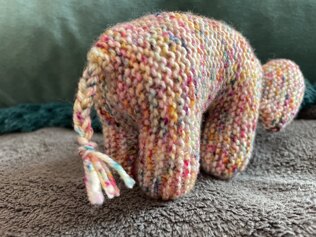 Baby elephant